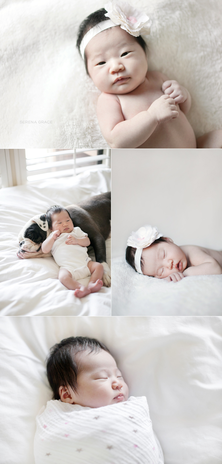 Alexa_newborn_portraits_01