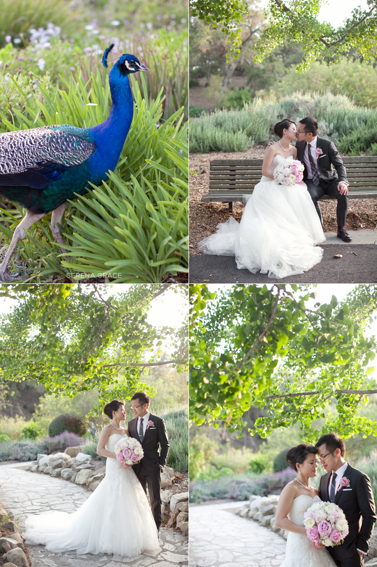 LA_Arboretum_wedding_29